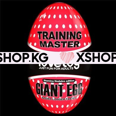 Многоразовый Мастурбатор "Master Training Lovetoy EGG"