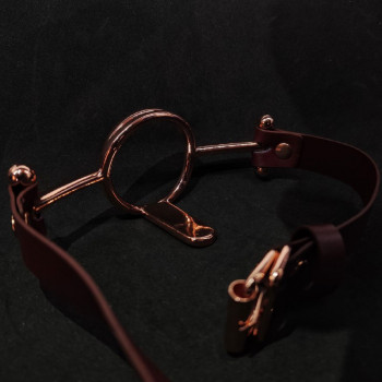 Кляп кольцо