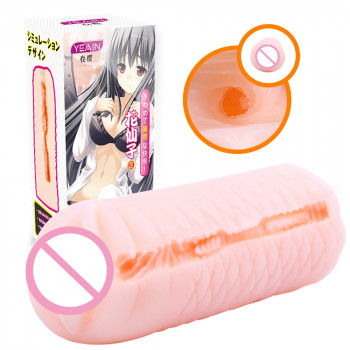 Реалистичные Вагины "Аниме Yeain"